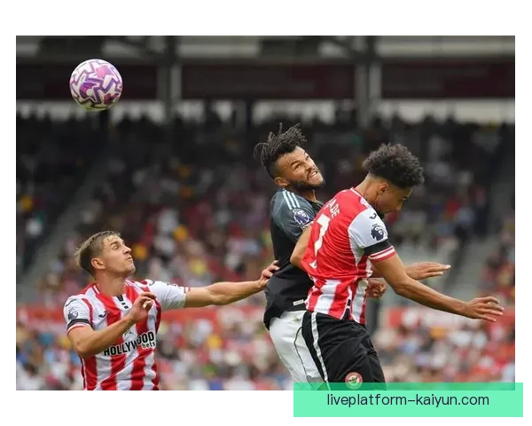 达姆斯高技术全面性不断提升，实力备受关注